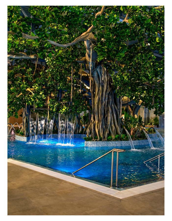 Amazonia Apartments Timişoara Extérieur photo